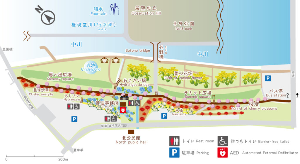 権現堂公園の紫陽花がみられる公園の地図
