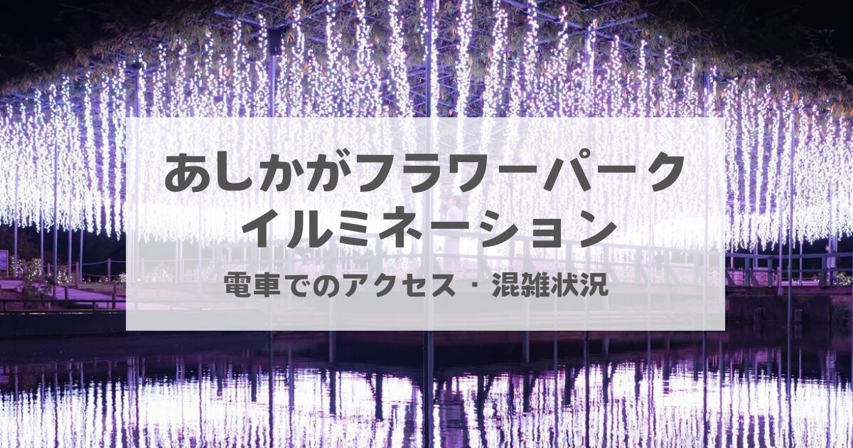 あしかがフラワーパークイルミネーション電車でのアクセス方法と混雑状況