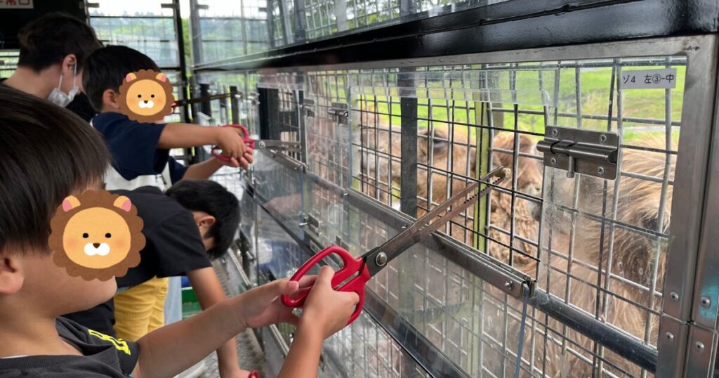 ジャングルバスから餌をあげる子供たち