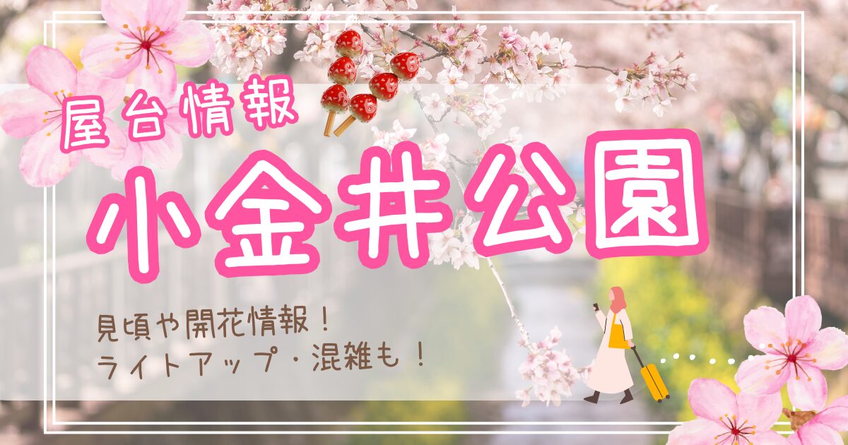 小金井公園の桜まつり2025屋台の場所は？ライトアップや見頃,開花状況も！